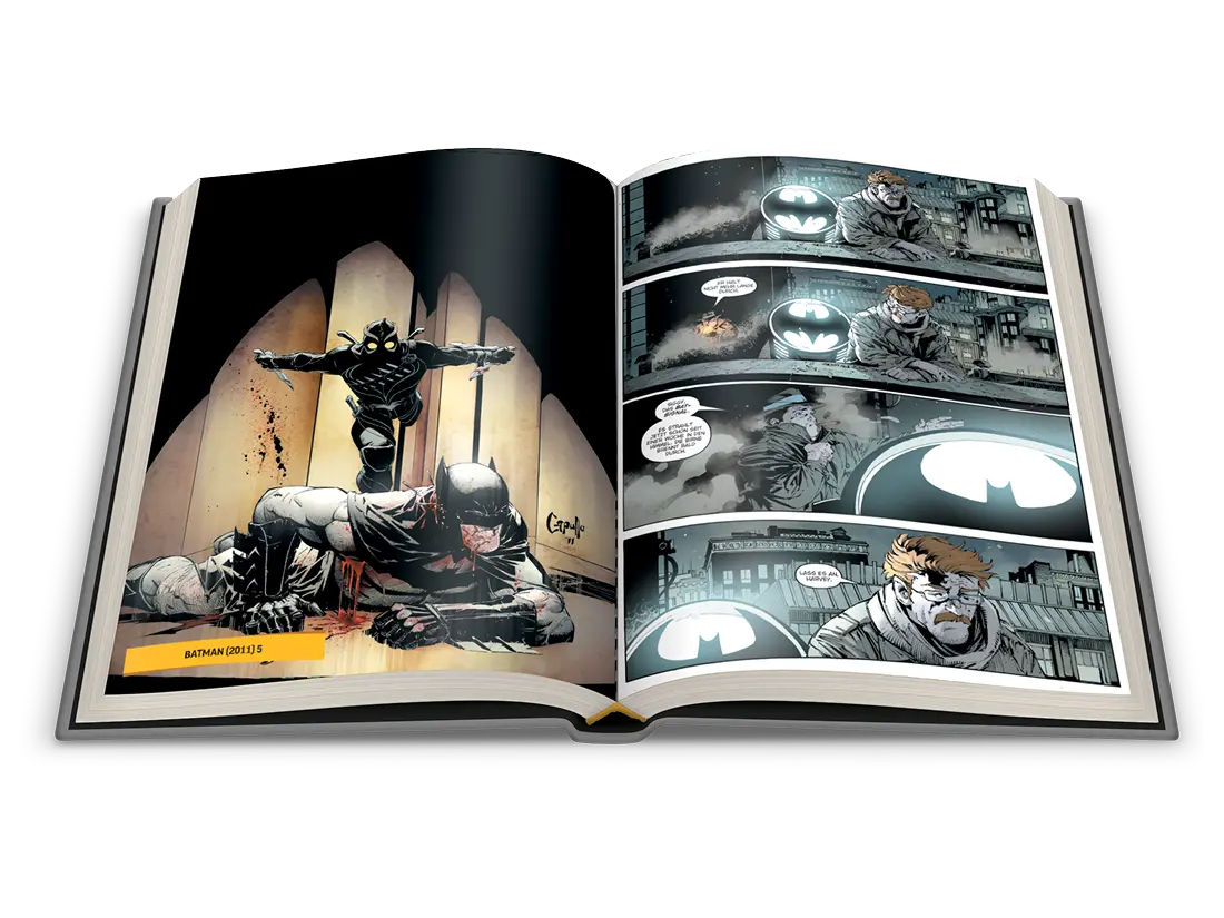 Batman Graphic Novel