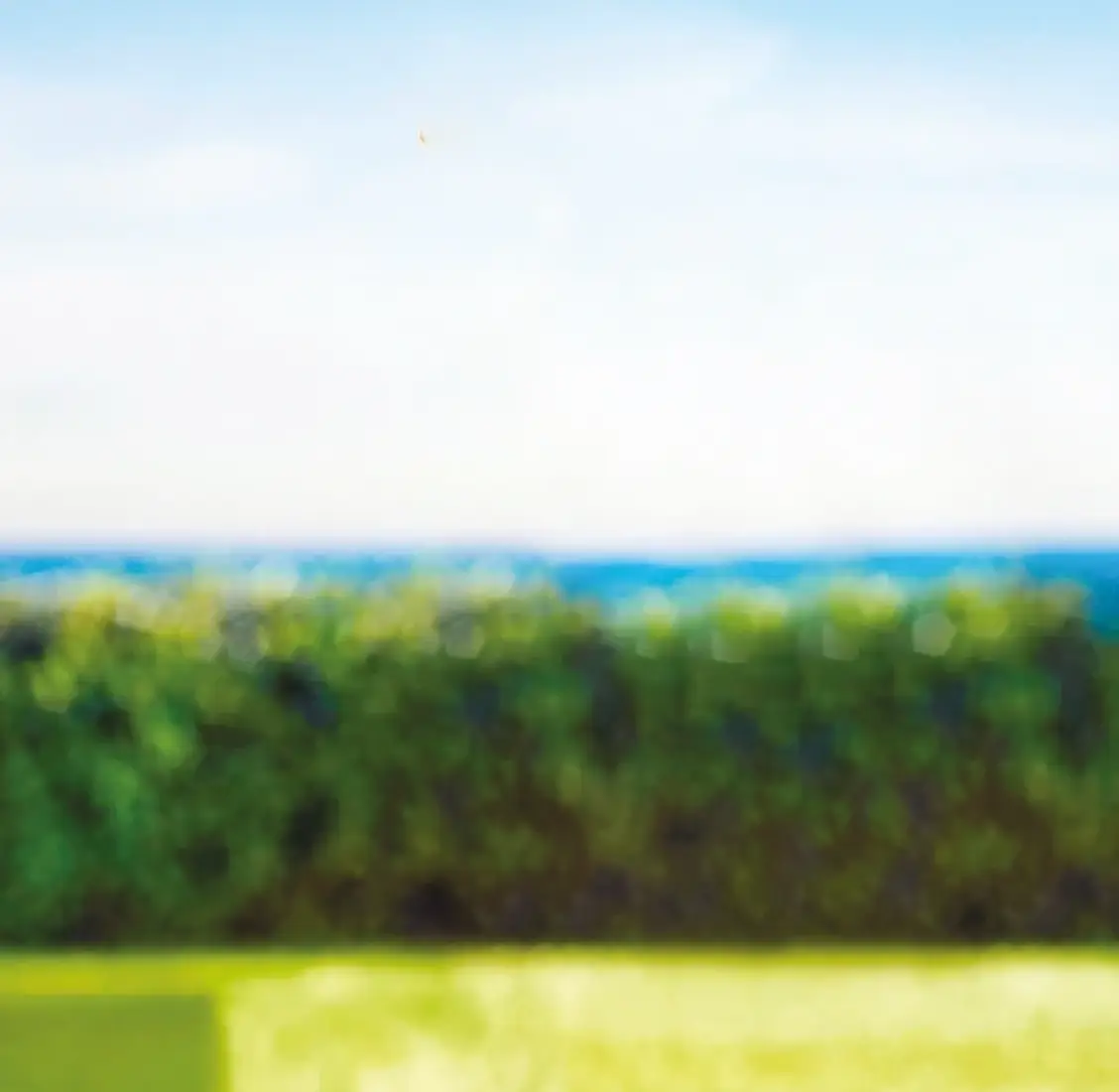 Collect the 50 figures